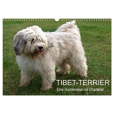 Abbildung von Tibet Terrier Eine Hunderasse mit Charakter (Wandkalender 2025 DIN A3 quer), CALVENDO Monatskalender