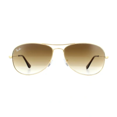Abbildung von Ray Ban Cockpit Sonnenbrille RB3362 001/51 56/14/135