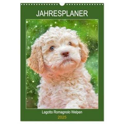 Abbildung von Jahresplaner Lagotto Romagnolo Welpen (Wandkalender 2025 DIN A3 hoch), CALVENDO Monatskalender