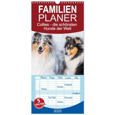 Abbildung von Familienplaner 2025 Collies die schönsten Hunde der Welt mit 5 Spalten (Wandkalender, 21 cm x 45 cm), CALVENDO