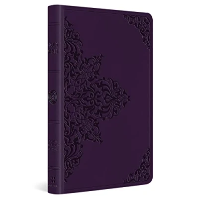Abbildung von ESV Large Print Value Thinline Bible: English Standard Version, Bible, Trutone, Lavender, Filigree Design