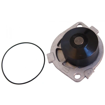 Abbildung von MAPCO 21019 Wasserpumpe mechanisch FIAT: BRAVO 1