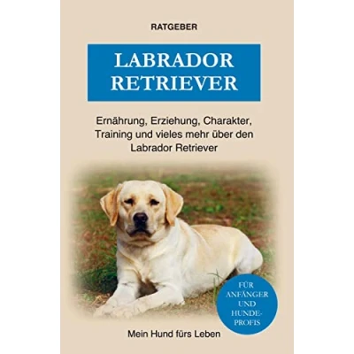 Abbildung von Labrador Retriever: Erziehung, Charakter, Ernährung, Training und einiges mehr über den Retriever Hund