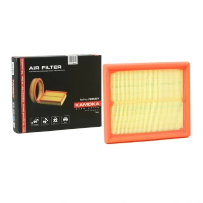 Abbildung von Luftfilter KAMOKA F204201