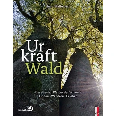 Abbildung von Urkraft Wald: Die ältesten Wälder der Schweiz. Finden Wandern Erleben