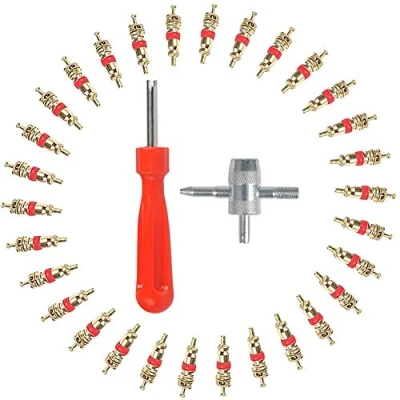 Abbildung von Reifenventilentferner Ventil, 102 Pcs Reifenventil Kern Werkzeug Set mit Doppel und Einzelkopf Ventilkern Entferner, 4 in1 Einsatz Entferner für Auto Motorrad Fahrrad Reparatur
