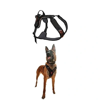 Abbildung von Non stop dogwear Hunde Geschirr Hundegeschirr Rock Harness