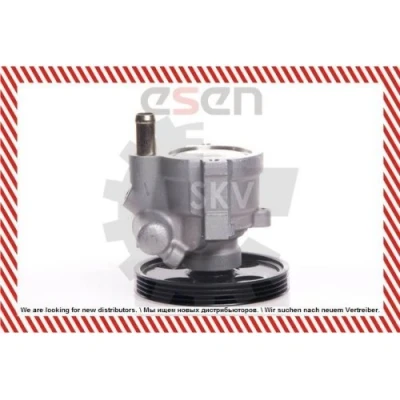 Abbildung von ESEN SKV 10SKV146 Hydraulikpumpe RENAULT: CLIO 1, Kangoo I, Scénic DACIA: Logan I MCV, Sandero Express