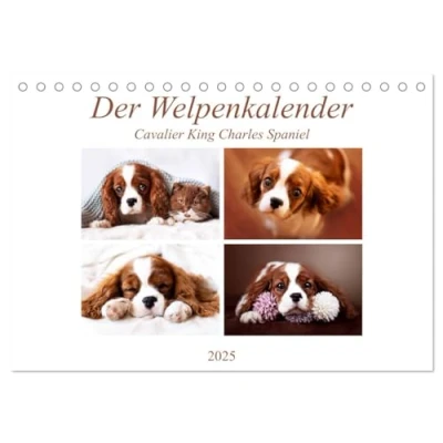 Abbildung von Der Welpenkalender Cavalier King Charles Spaniel (Tischkalender 2025 DIN A5 quer), CALVENDO Monatskalender