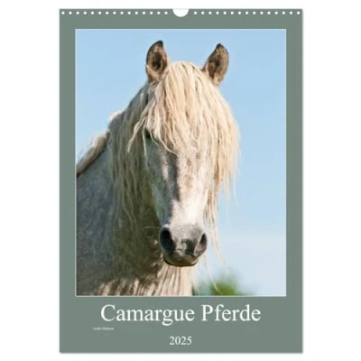 Abbildung von Camargue Pferde weiße Mähnen (Wandkalender 2025 DIN A3 hoch), CALVENDO Monatskalender