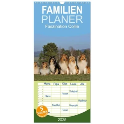 Abbildung von Familienplaner 2025 Faszination Collie mit 5 Spalten (Wandkalender, 21 cm x 45 cm), CALVENDO