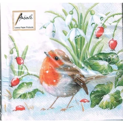 Abbildung von Ambiente Luxury Paper Products Papierserviette 20 Servietten Robin 33x33cm, (20 St)
