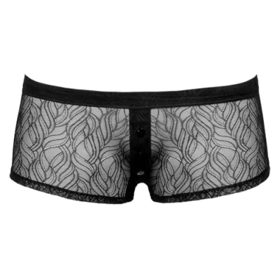 Abbildung von Pants aus weicher elastischer Spitze