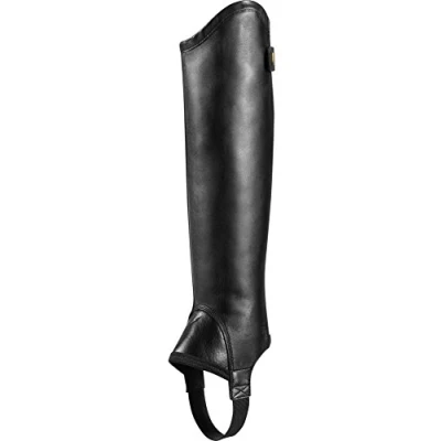 Abbildung von Ariat Concord Minichaps