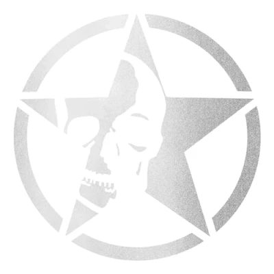 Abbildung von Finest Folia 2er Set Autoaufkleber Army Stern Sticker Folie für Auto Motorrad Anhänger Aufkleber US Star Motiv 2 selbstklebend wetterfest Kfz Zubehör K168 (Silber, ⌀ 10cm)