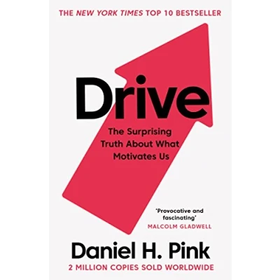 Abbildung von Drive: The Surprising Truth About What Motivates Us
