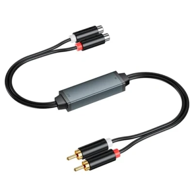 Abbildung von eppfun AV100C Entstörfilter, Ground Loop Isolator für Auto Heim Stereo System/Bluetooth Lautsprecher, Audio Filter mit Cinch Audiokabel
