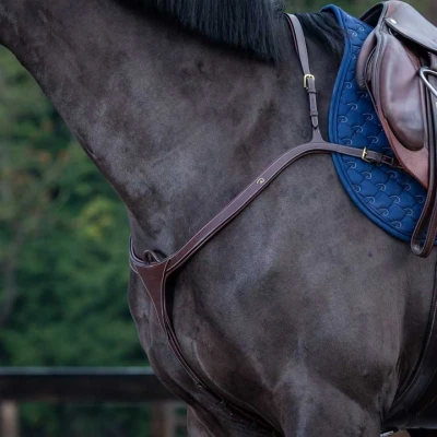 Abbildung von Dyon Brustgeschirr Long Bridge Braun Warmblut