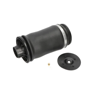 Abbildung von Luftfeder, Fahrwerk KAVO PARTS SAS 10010