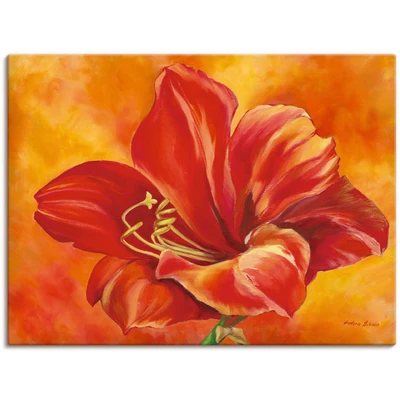 Abbildung von Artland Wandbild &quot;Amaryllis&quot;, Blumen, (1 St.), als Leinwandbild, Poster in verschied. Größen