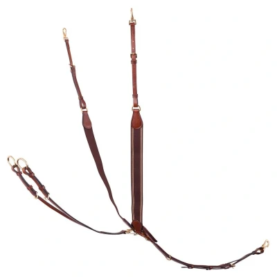 Abbildung von BR Fahrzeug Taunton Pony Tobacco