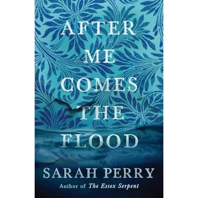 Abbildung von After me Comes The Flood: From author of Essex Serpent
