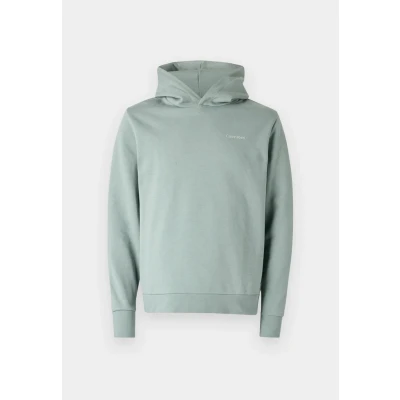 Abbildung von Calvin Klein Kapuzensweatshirt &quot;ENLARGED BACK LOGO HOODIE&quot;, mit Logodruck