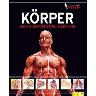 Abbildung von Erlebniswelt Wissen Körper: Organe, Körpersysteme, Funktionen. Ein Sachbuch für Kinder ab 10 Jahren