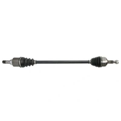 Abbildung von Antriebswelle PASCAL G2E010PC