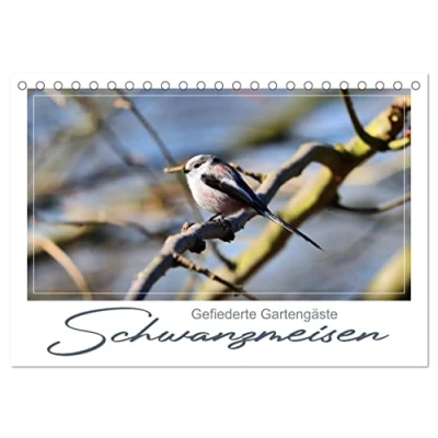 Abbildung von Gefiederte Gartengäste, Schwanzmeisen (Tischkalender 2025 DIN A5 quer), CALVENDO Monatskalender