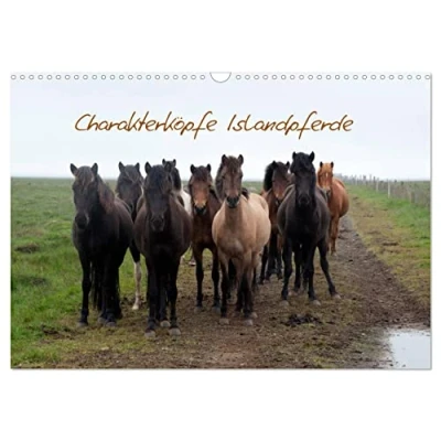 Abbildung von Charakterköpfe Islandpferde (Wandkalender 2025 DIN A3 quer), CALVENDO Monatskalender