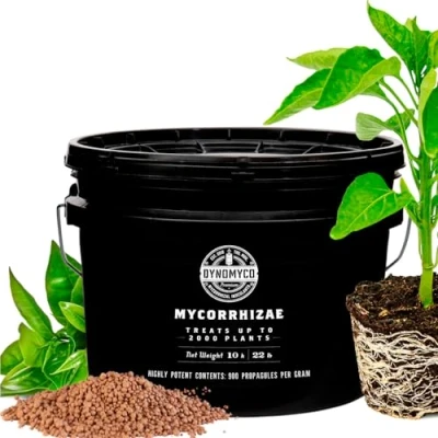 Abbildung von Mykorrhiza Impfmittel von DYNOMYCO Hochleistungsstämme Konzentrierte Formel Verbessert die Nährstoffaufnahme Steigert den Pflanzenertrag (10 KG / 22 LB)