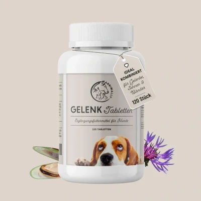 Abbildung von Gelenktabletten