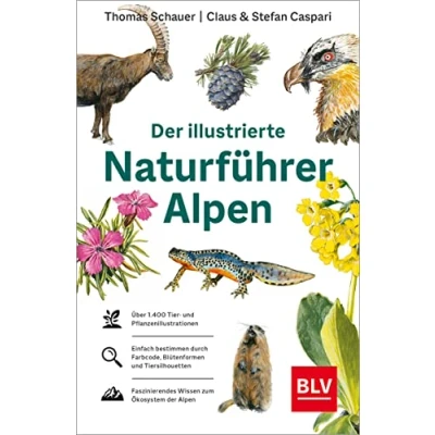 Abbildung von Der illustrierte Naturführer Alpen (BLV Naturführer)