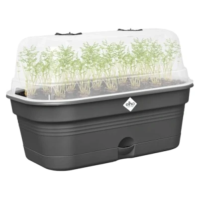 Abbildung von elho Green Basics Anzucht Schale Allin1 32 Anzuchtset 100% recyceltem Plastik Ø 32.0 x H 13.2 cm Schwarz/Living Schwarz
