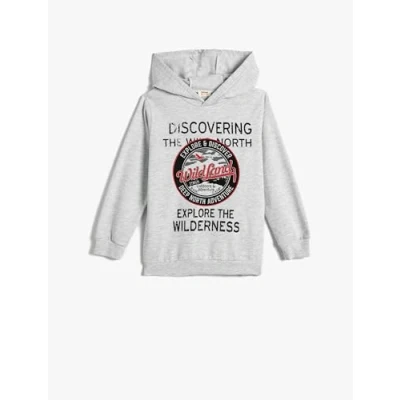 Abbildung von Koton Boys Hoodie Brushed Interior Printed Long Sleeve Cotton