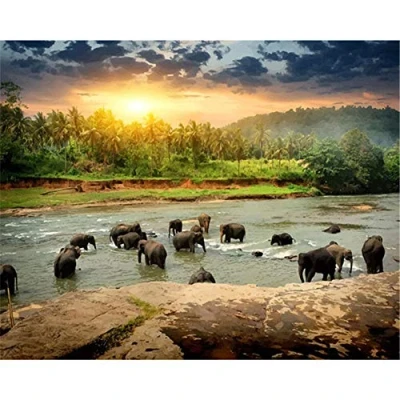 Abbildung von Yingxin34 Puzzle 1000 Teile Elefantenherde im Fluss Jigsaw Spiel Erwachsene Kinder Familie Dekompression Spielzeug 30x20 Zoll (75 x 50cm)