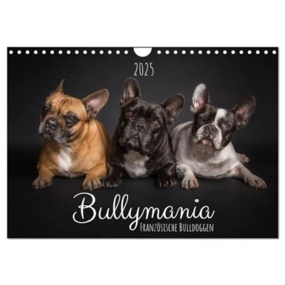 Abbildung von Bullymania Französische Bulldoggen (Wandkalender 2025 DIN A4 quer), CALVENDO Monatskalender