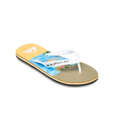 Abbildung von Quiksilver Molokai Stripe 25 Badezehentrenner, Herren, Größe: 44, Blq6 Kunststoff