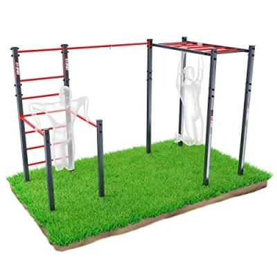 Abbildung von Outdoor Calisthenics Gerät Mit Sprossenwand Und Hangelleiter