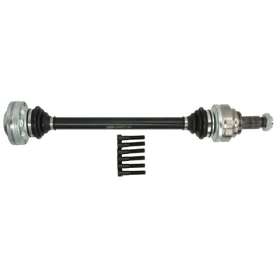 Abbildung von Antriebswelle PASCAL G2B009PC