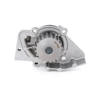 Abbildung von INA 538 0008 10 Wasserpumpe 20 mechanisch für Zahnriementrieb FIAT: Ducato II Pritsche/Fahrgestell, Bus, Kastenwagen