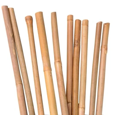Abbildung von UNUS Bambusstäbe, 50 Pflanzstäbe aus Bambus, 150 cm lang, Rankhilfe für Zimmerpflanzen oder im Garten Gurken, Tomaten