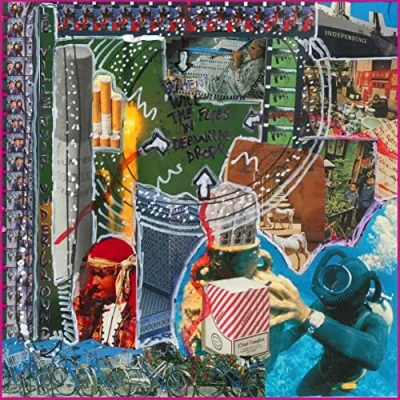 Abbildung von When Will the Flies in Deauville Drop? [Vinyl LP]