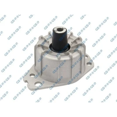 Abbildung von Lagerung, Motor GSP 532898