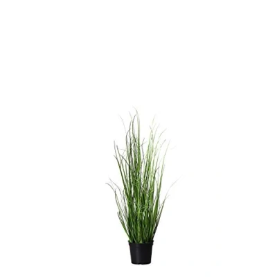 Abbildung von mucplants Dekogras im Topf Künstlich &amp; Naturgetreu Höhe 60cm Grasbüschel Ziergras Ufergras Kunstgras Grasbusch Schilfgras (Höhe: 60cm)