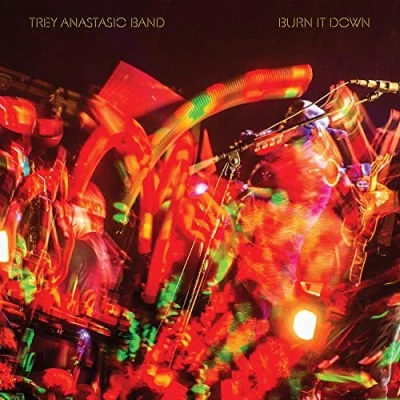 Abbildung von Burn It Down (Live) [VINYL] [Vinyl LP]