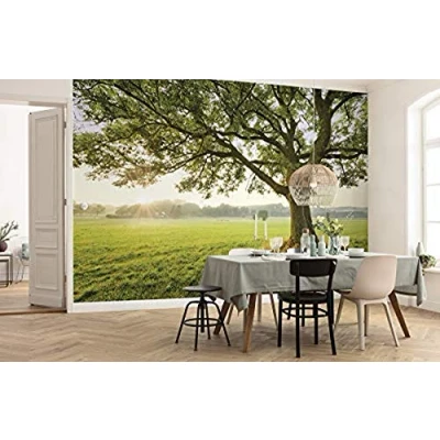Abbildung von Komar Vliestapete &quot;The Magic Tree&quot;, 450x280 cm (Breite x Höhe), Wohnzimmer, Schlafzimmer