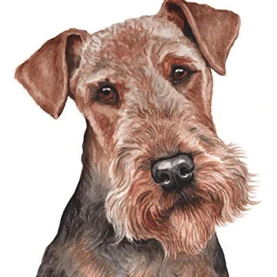 Abbildung von DIY 5D Diamond Painting Kits Airedale Terrier Hund Vollbohrkristall Strass Stickerei Bilder Kunst für Zuhause Wanddekoration