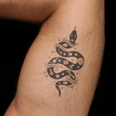 Abbildung von Harry Potter House Slytherin Werte Tattoo